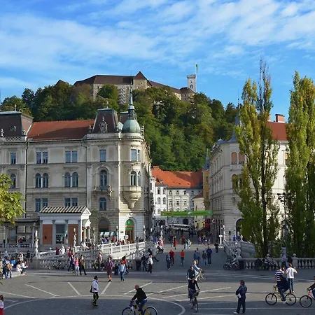 Gold * Ljubljana